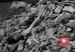 Standbild Konzentrationslager Buchenwald Deutschland, 1945, aus Sekunde 23 historischem Filmmaterial Videoclip 65675072908