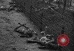 Standbild Konzentrationslager Buchenwald Deutschland, 1945, aus Sekunde 39 historischem Filmmaterial Videoclip 65675072908