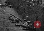 Standbild Konzentrationslager Buchenwald Deutschland, 1945, aus Sekunde 40 historischem Filmmaterial Videoclip 65675072908
