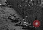 Standbild Konzentrationslager Buchenwald Deutschland, 1945, aus Sekunde 41 historischem Filmmaterial Videoclip 65675072908