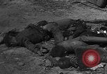 Standbild Konzentrationslager Buchenwald Deutschland, 1945, aus Sekunde 55 historischem Filmmaterial Videoclip 65675072908