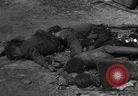 Standbild Konzentrationslager Buchenwald Deutschland, 1945, aus Sekunde 56 historischem Filmmaterial Videoclip 65675072908