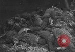 Standbild Konzentrationslager Buchenwald Deutschland, 1945, aus Sekunde 57 historischem Filmmaterial Videoclip 65675072908