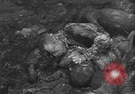 Standbild Konzentrationslager Buchenwald Deutschland, 1945, aus Sekunde 58 historischem Filmmaterial Videoclip 65675072908