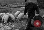 Image of Operation Skywatch United States USA, 1953, second 11 stock footage video 65675072914