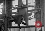Image of Pilot training San Antonio Texas USA, 1929, second 36 stock footage video 65675072931