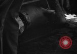 Image of Cherokee Chief Musa Isle Florida USA, 1931, second 23 stock footage video 65675072970