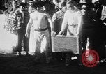 Image of Cherokee Chief Musa Isle Florida USA, 1931, second 45 stock footage video 65675072970