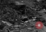 Image of Ryukyu Campaign Pacific Theater, 1945, second 24 stock footage video 65675072979
