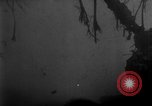 Image of Ryukyu Campaign Pacific Theater, 1945, second 31 stock footage video 65675072979