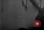 Image of Ryukyu Campaign Pacific Theater, 1945, second 32 stock footage video 65675072979