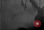 Image of Ryukyu Campaign Pacific Theater, 1945, second 33 stock footage video 65675072979