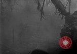 Image of Ryukyu Campaign Pacific Theater, 1945, second 34 stock footage video 65675072979