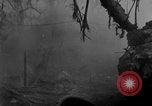 Image of Ryukyu Campaign Pacific Theater, 1945, second 35 stock footage video 65675072979