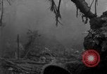 Image of Ryukyu Campaign Pacific Theater, 1945, second 44 stock footage video 65675072979