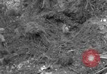 Image of Ryukyu Campaign Pacific Theater, 1945, second 48 stock footage video 65675072979