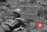 Image of Ryukyu Campaign Pacific Theater, 1945, second 3 stock footage video 65675072980