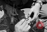 Image of Ryukyu Campaign Pacific Theater, 1945, second 31 stock footage video 65675072980