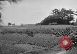 Image of Ryukyu Campaign Pacific Theater, 1945, second 46 stock footage video 65675072980