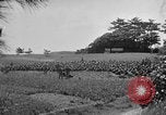 Image of Ryukyu Campaign Pacific Theater, 1945, second 47 stock footage video 65675072980