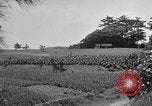 Image of Ryukyu Campaign Pacific Theater, 1945, second 48 stock footage video 65675072980