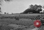 Image of Ryukyu Campaign Pacific Theater, 1945, second 49 stock footage video 65675072980