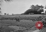 Image of Ryukyu Campaign Pacific Theater, 1945, second 50 stock footage video 65675072980