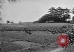 Image of Ryukyu Campaign Pacific Theater, 1945, second 51 stock footage video 65675072980