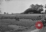 Image of Ryukyu Campaign Pacific Theater, 1945, second 52 stock footage video 65675072980