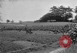 Image of Ryukyu Campaign Pacific Theater, 1945, second 53 stock footage video 65675072980