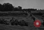 Image of Ryukyu Campaign Pacific Theater, 1945, second 40 stock footage video 65675072981