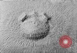 Image of Thomas W Wilson United States USA, 1918, second 3 stock footage video 65675072987