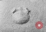 Image of Thomas W Wilson United States USA, 1918, second 5 stock footage video 65675072987