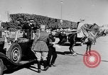 Image sultan Sidi Mohammed le Maroc l'Afrique du Nord, 1944, de la seconde 10 séquences d'archives historiques vidéo 65675072995