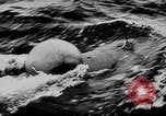 Standbild alliierte Invasion Frankreich, 1944, aus Sekunde 51 historischem Filmmaterial Videoclip 65675073003