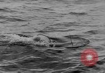 Standbild alliierte Invasion Frankreich, 1944, aus Sekunde 54 historischem Filmmaterial Videoclip 65675073003