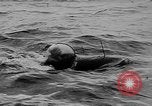 Standbild alliierte Invasion Frankreich, 1944, aus Sekunde 56 historischem Filmmaterial Videoclip 65675073003