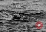 Standbild alliierte Invasion Frankreich, 1944, aus Sekunde 59 historischem Filmmaterial Videoclip 65675073003