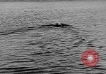 Standbild alliierte Invasion Frankreich, 1944, aus Sekunde 61 historischem Filmmaterial Videoclip 65675073003