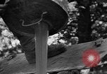 Standbild alliierte Invasion Frankreich, 1944, aus Sekunde 14 historischem Filmmaterial Videoclip 65675073006