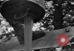 Standbild alliierte Invasion Frankreich, 1944, aus Sekunde 16 historischem Filmmaterial Videoclip 65675073006