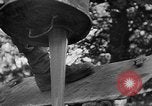 Standbild alliierte Invasion Frankreich, 1944, aus Sekunde 17 historischem Filmmaterial Videoclip 65675073006