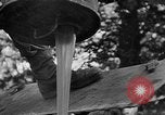 Standbild alliierte Invasion Frankreich, 1944, aus Sekunde 18 historischem Filmmaterial Videoclip 65675073006