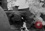 Standbild alliierte Invasion Frankreich, 1944, aus Sekunde 35 historischem Filmmaterial Videoclip 65675073006