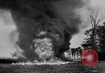 Standbild alliierte Invasion Frankreich, 1944, aus Sekunde 59 historischem Filmmaterial Videoclip 65675073006