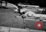 Standbild alliierte Invasion Frankreich, 1944, aus Sekunde 1 historischem Filmmaterial Videoclip 65675073007