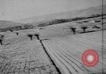 Standbild alliierte Invasion Frankreich, 1944, aus Sekunde 43 historischem Filmmaterial Videoclip 65675073007