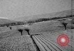 Standbild alliierte Invasion Frankreich, 1944, aus Sekunde 44 historischem Filmmaterial Videoclip 65675073007