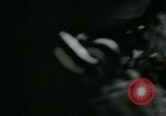 Standbild Golden Knights California United States USA, 1965, aus Sekunde 19 historischem Filmmaterial Videoclip 65675073019