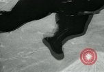 Standbild Golden Knights California United States USA, 1965, aus Sekunde 49 historischem Filmmaterial Videoclip 65675073019